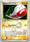 Holon's Electrode