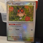 Hoothoot
