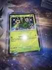 Hoppip