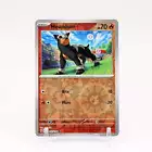 Houndour