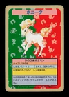 Ponyta