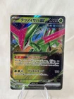 Iron Leaves Ex
