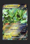 Iron Thorns ex