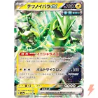 Iron Thorns Ex