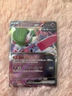 Iron Valiant Ex