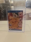 Pikachu & Others