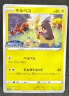 Swampert EX 