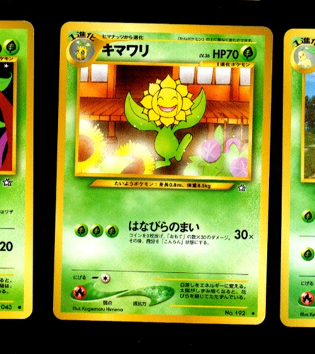 Sunflora