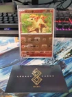 Ponyta