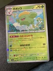 Skiploom