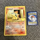 Cyndaquil