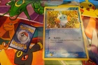 Mudkip