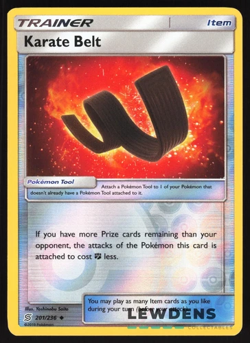 Karate Belt