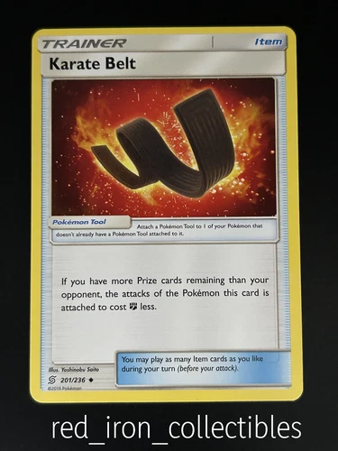 Karate Belt