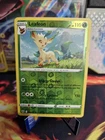 Absol