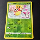 Ledyba