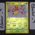 Ledyba