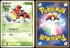 Ledyba