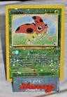 Ledyba