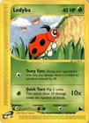 Ledyba