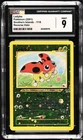 Ledyba