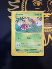 Ledyba