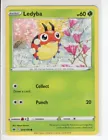 Ledyba