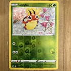 Ledyba