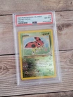 Ledyba