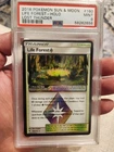 Life Forest