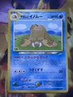 Piloswine