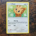 Lillipup
