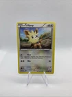 Lillipup