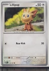 Lillipup