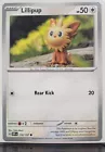 Lillipup