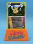 Lillipup