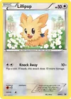Lillipup