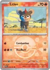 Litleo