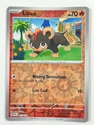 Litleo
