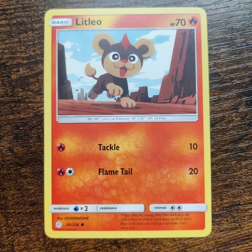 Litleo