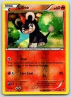 Litleo