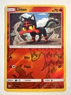 Litten