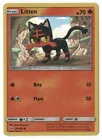 Litten