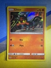 Litten