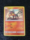 Litten