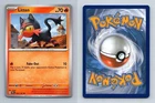 Litten
