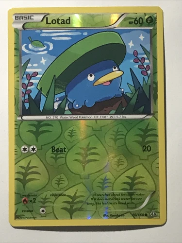 Lotad