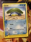 Lotad