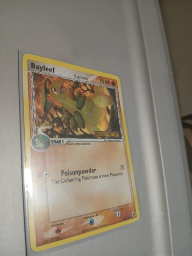 Bayleef