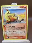 Combusken